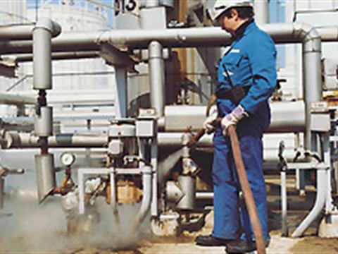 Steam hoses